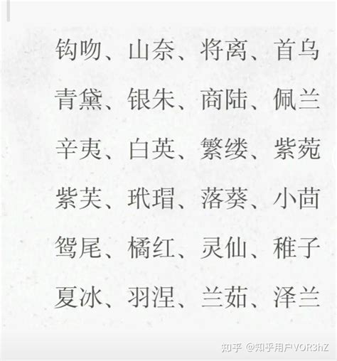 名字 表|取中文名字